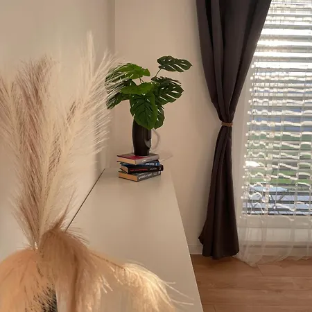 Klimatizovany Apartmanovy Dom, S Virivkou, 1b *